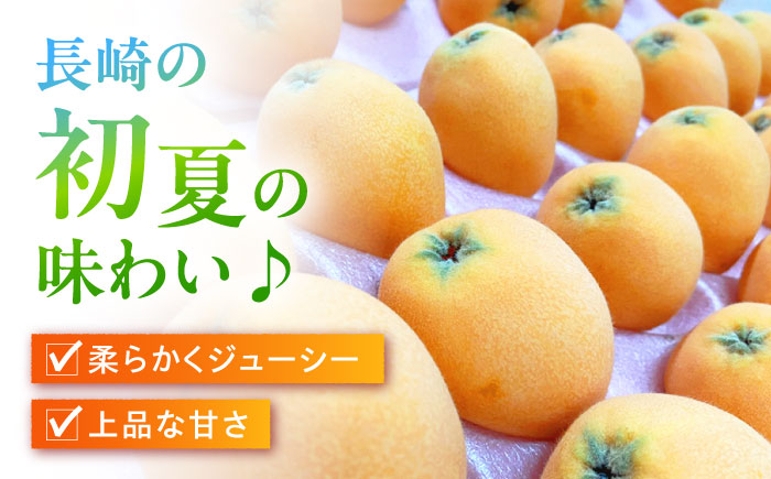 【数量限定】長崎ハウス びわ 約1kg（約260g × 4p） / フルーツ びわ ビワ 枇杷 / 南島原市 / O\' Berry! [SGA002]