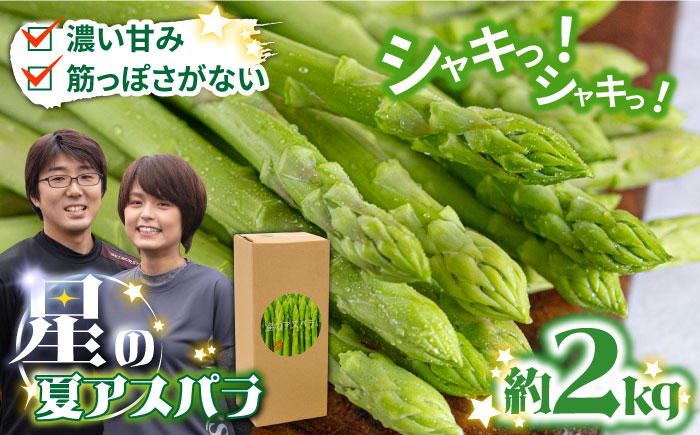 【2026年5月下旬～発送】【数量限定】【星のアスパラ】厳選 グリーン アスパラガス 約2kg / アスパラ アスパラガス 野菜 / 南島原市 / ほしのYA [SEY002]