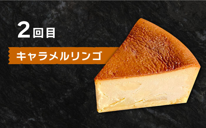 【6回定期便】 よしだのバスクチーズ 食べ比べ / ケーキ タルトケーキ スイーツ デザート 洋菓子 スペイン菓子職人が作る / 南島原市 / 吉田菓子店 [SCT035]