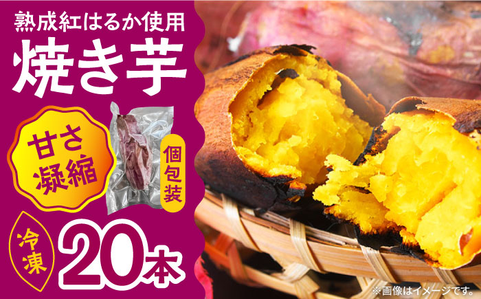 【数量限定】【ねっとり甘い熟成サツマイモ】冷凍焼き芋（紅はるか） 20本(S～M) / さつまいも やき芋 冷凍 小分け 個包装 / 南島原市 / 池田海陸物産 [SEW001]