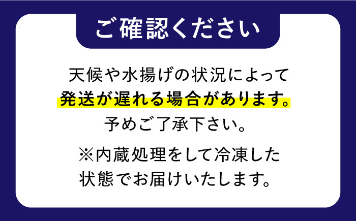 【着日指定】島原半島 はしり蛸(中たこ) 3杯　約2400g / タコ　新鮮　海鮮物　刺し身　揚げ物　酢物　キャンプ　BBQ / 南島原市 / 深江町漁業協同組合 [SBO005]