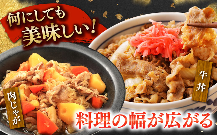 国産 黒毛和牛 熟成肉 切り落とし 500g / 小分け 国産牛 お肉 牛肉 切落し 冷凍 焼肉 すき焼き / 南島原市 / ふるさと企画 [SBA094]