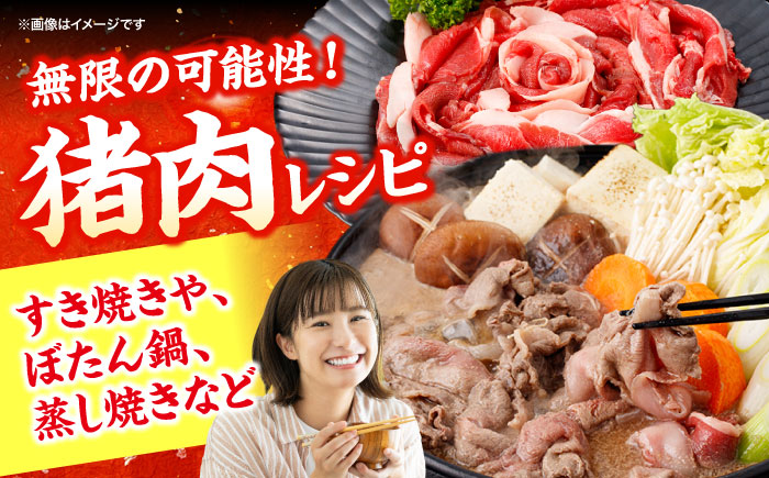 猪肉 切り落とし 1kg 雲仙いのしし モモ ウデ / 肉 イノシシ ジビエ いのしし 焼肉 ぼたん鍋 切り落とし / 南島原市 / もりのめぐみ [SDB015]