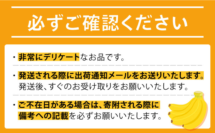 【ご入金から2〜3か月程度で発送】【テレビで話題！】【とても希少な国産バナナをあなたへ！】hotaru バナナ 2本 [SFA001]