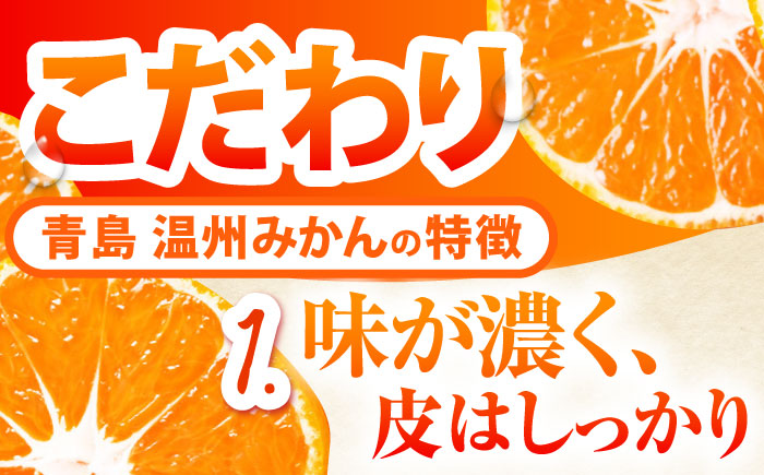 【2026年1月〜発送】青島 温州みかん 10kg / みかん ミカン 蜜柑 甘い フルーツ 果物 / 南島原市 / 蜜柑屋まつお [SCQ003]