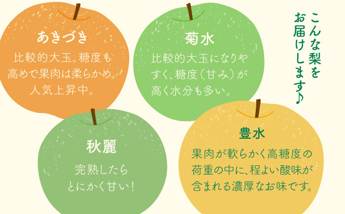 【2025年8月下旬〜発送】梨 2種以上 食べ比べ セット 5kg / 豊水 秋麗 菊水 あきづき / なし フルーツ 果物  / 南島原市 / 松尾観光梨園 [SCX001]