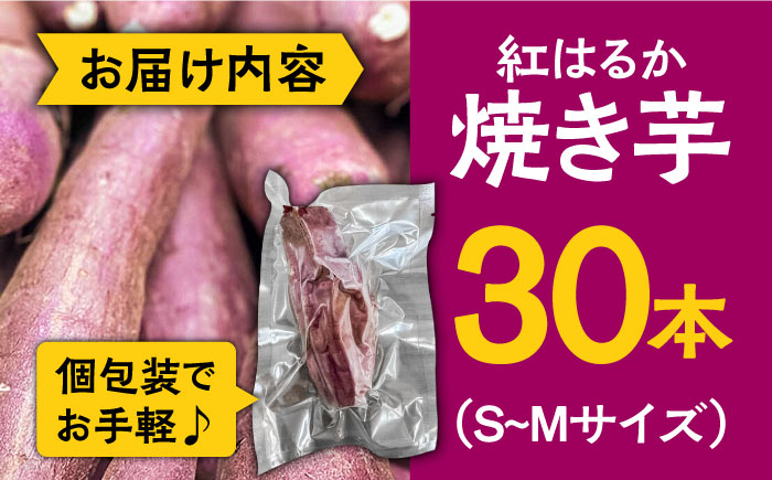 【数量限定】【ねっとり甘い熟成サツマイモ】冷凍焼き芋（紅はるか） 30本(S〜M) / さつまいも やき芋 冷凍 小分け 個包装 / 南島原市 / 池田海陸物産 [SEW003]