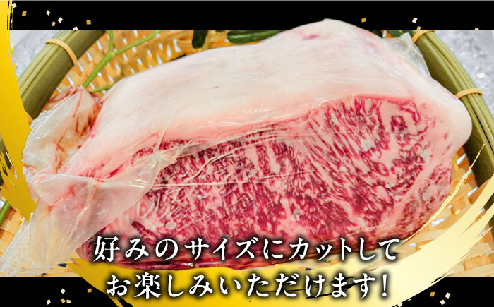 【内閣総理大臣賞受賞】長崎和牛 サーロインブロック 約3kg / 冷凍 ステーキ肉 サーロインステーキ / 南島原市 / 島原雲仙農業協同組合 [SES001]