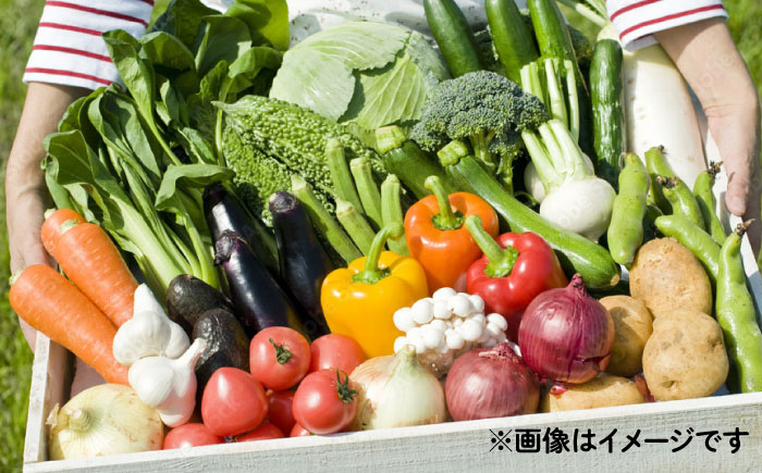 野菜のプロが選ぶ 旬の野菜セット 12～13品目 野菜定期便 / 野菜 やさい セット 新鮮 / 南島原市 / 愛2農園 [SGG005]
