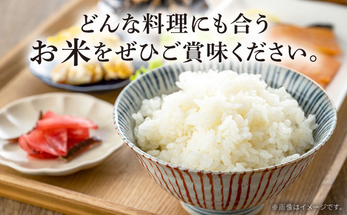 米【南島原市産ヒノヒカリ】10kg×12回 定期便 / ひのひかり 米 お米 こめ コメ 精米 精米 白米 お米 ライス ごはん 米 こめ ご飯 国産 お取り寄せ  / 南島原市 / 林田米穀店 [SCO007]