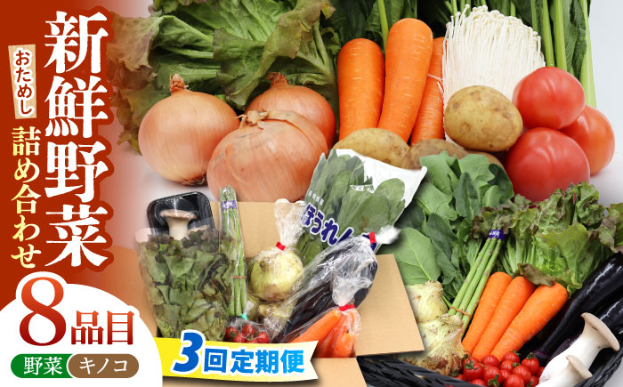 【3回定期便】お試し野菜セット 8品目 詰め合わせ / 野菜 やさい ヤサイ 旬 新鮮 / 南島原市 / 吉岡青果 [SCZ028]
