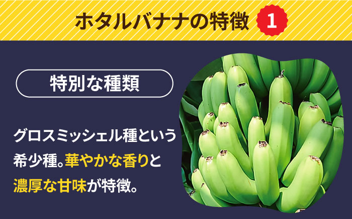 【とても希少な国産バナナをあなたへ！】hotaru バナナ 5本 [SFA002]