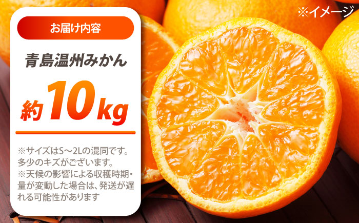 【2026年1月〜発送】青島 温州みかん 10kg / みかん ミカン 蜜柑 甘い フルーツ 果物 / 南島原市 / 蜜柑屋まつお [SCQ003]