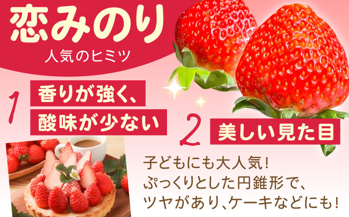 南島原産 いちご 「恋みのり」約250g×2P / イチゴ 苺 フルーツ 果物 / 南島原市 / あゆみfarm [SFF006]