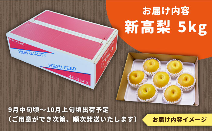 【2025年9月〜発送】シャリッと食感がたまらない！新高梨 5kg (玉数おまかせ) / 梨 なし くだもの 果物 フルーツ 常温 ギフト プレゼント 贈り物 / 南島原市 / ふるさと企画 [SBA012]