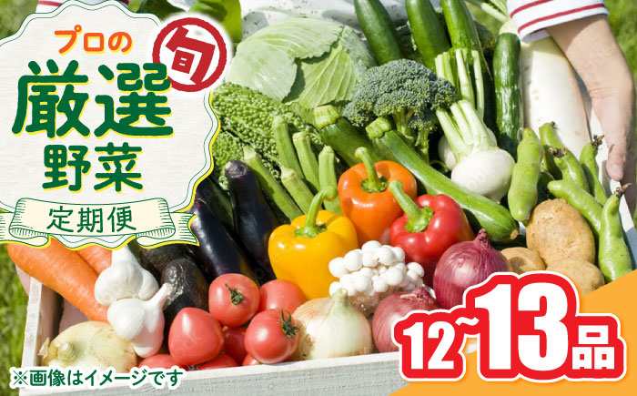 野菜のプロが選ぶ 旬の野菜セット 12～13品目 野菜定期便 / 野菜 やさい セット 新鮮 / 南島原市 / 愛2農園 [SGG005]