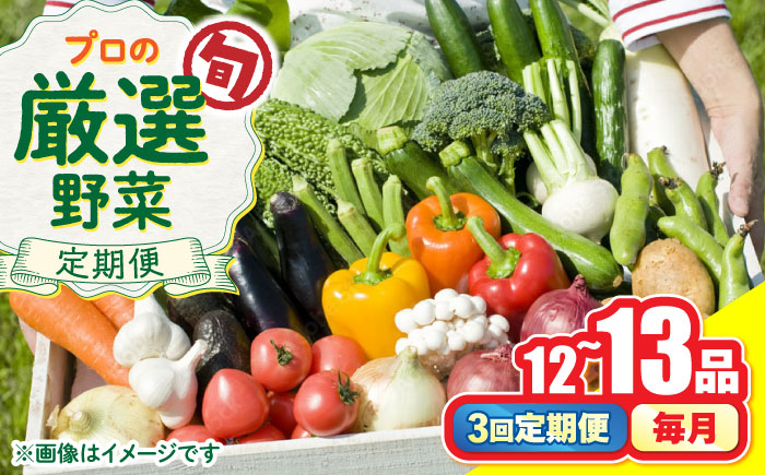 【3回定期便】野菜のプロが選ぶ 旬の野菜セット 12〜13品目 野菜定期便 / 野菜 やさい セット 新鮮 / 南島原市 / 愛2農園 [SGG004]
