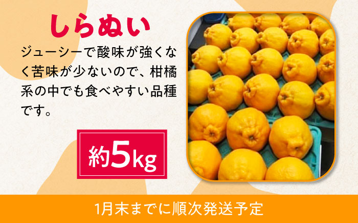 【4回定期便】【2025年7月初回発送】柑橘 4種類 定期便 / ハウスみかん 温室天草 しらぬい せとか 果物 フルーツ / 南島原市 /JA島原雲仙東南部基幹センター [SAC005]