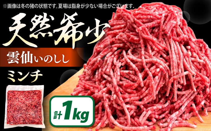 猪肉 ミンチ 1kg 雲仙いのしし / ひき肉 肉 イノシシ ジビエ いのしし ハンバーグ / 南島原市 / もりのめぐみ [SDB012]