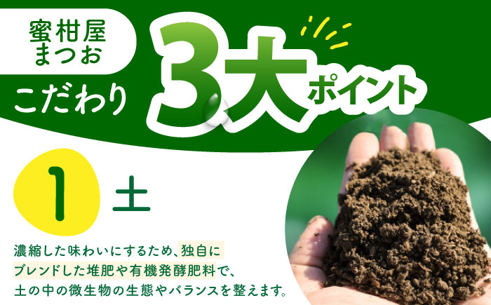 【2026年10月下旬～発送】温州みかん 10kg / みかん ミカン 蜜柑 フルーツ 果物 / 南島原市 / 蜜柑屋まつお [SCQ002]