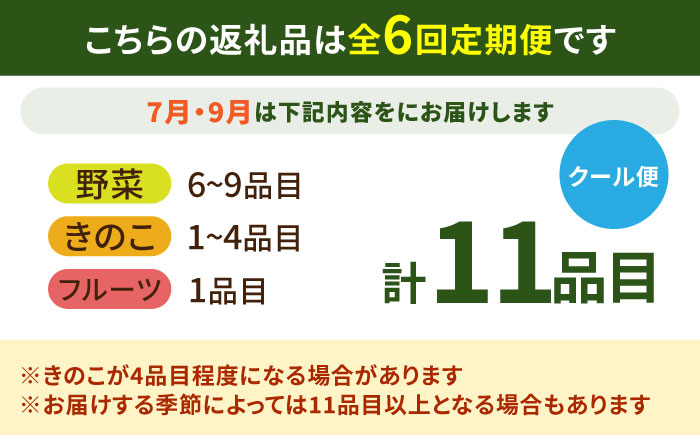 【6回定期便】【奇数月コース】豪華！野菜 セット 15品目以上 / 定期便 野菜 やさい 春野菜 夏野菜 秋野菜 冬野菜 旬 / 南島原市 / 吉岡青果 [SCZ002]