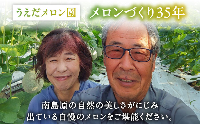 【2026年3月下旬〜発送】しらかばメロン 5玉〜8玉 約5kg / メロン めろん 果物 フルーツ / 南島原市 / うえだメロン園 [SAD009]