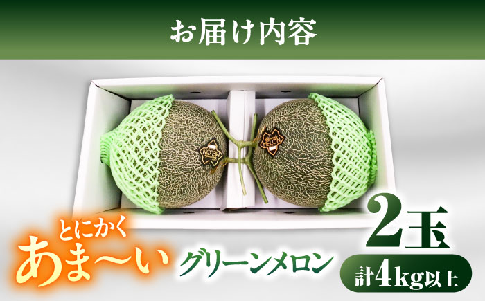 【2026年7月初旬〜発送】グリーンメロン 2玉 約4kg / メロン めろん 果物 フルーツ / 南島原市 / うえだメロン園 [SAD010]