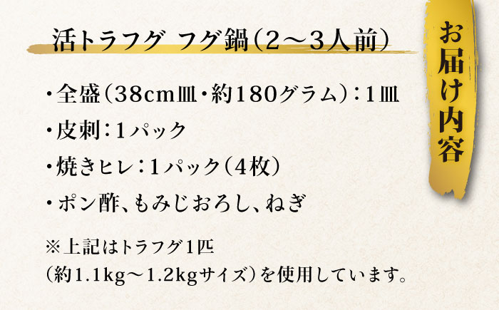 【長崎県産】トラフグフグ刺し・フグ鍋セット（2〜3人前）  / ふぐ 刺身 鍋 南島原市 / ながいけ [SCH033]