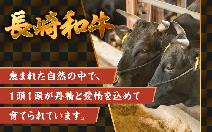 【A5ランク】長崎和牛 切り落とし 500g / 和牛 国産 牛肉 にく きりおとし 真空 / 南島原市 / ミカド観光センター [SEC003]