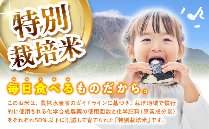 【令和7年産新米】【特別栽培米】 ヒノヒカリ 10kg (5kg×2袋) / 米 精米 白米 ごはん ご飯 ひのひかり / 南島原市 / 農家民宿　いちご一会 [SBN002]