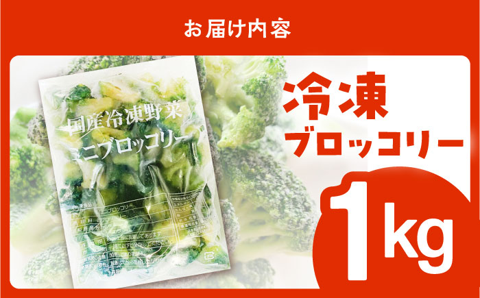 たっぷり 冷凍 ブロッコリー 1kg / ブロッコリー ぶろっこりー 野菜 やさい 小分け 冷凍 / 南島原市 / 池田海陸物産 [SEW006]