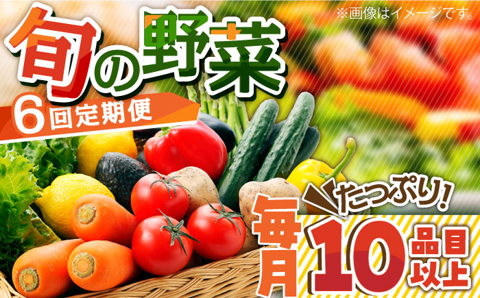 【6回定期便】地元農家さんが収穫した旬のお野菜 10種詰め合わせ / 野菜 旬 新鮮 採れたて 季節野菜 旬野菜 農家直送 野菜定期便 定期便 / 南島原市 / ミナサポ  [SCW046]