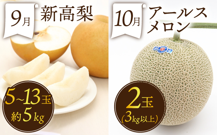 【12回定期便】フルーツ定期便 果物屋が選ぶ旬のフルーツ いちご メロン びわ みかん 梨 柿 ぶどう など / 果物定期便 フルーツ 定期便 果物 春フルーツ 夏フルーツ 秋フルーツ 冬フルーツ / 南島原市 / 贅沢宝庫 [SDZ023]