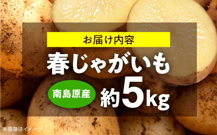 じゃがいも 約5kg 馬鈴薯 春じゃが / ジャガイモ ばれいしょ 野菜 やさい 芋 / 南島原市 / 株式会社松尾青果 [SGU001]
