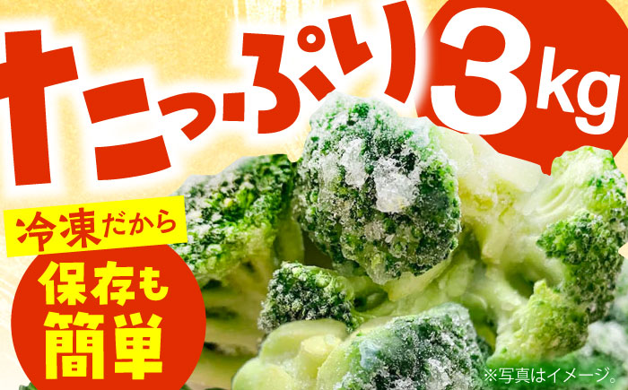 たっぷり 冷凍 ブロッコリー 3kg（1kg × 3袋） / ブロッコリー ぶろっこりー 野菜 やさい 小分け 冷凍 / 南島原市 / 池田海陸物産 [SEW007]