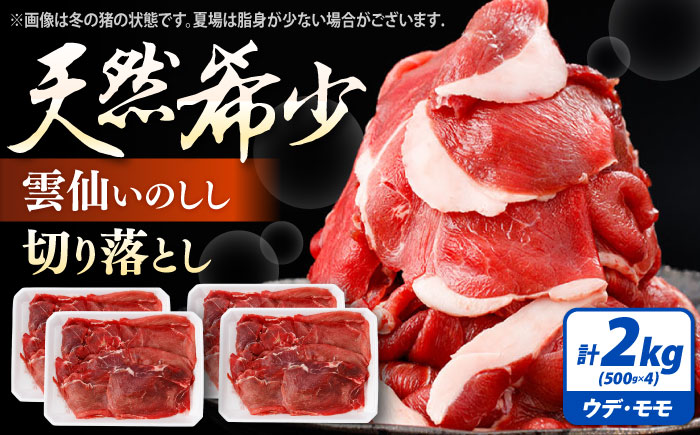 猪肉 切り落とし 2kg 雲仙いのしし モモ ウデ / 肉 イノシシ ジビエ いのしし 焼肉 ぼたん鍋 切り落とし / 南島原市 / もりのめぐみ [SDB016]