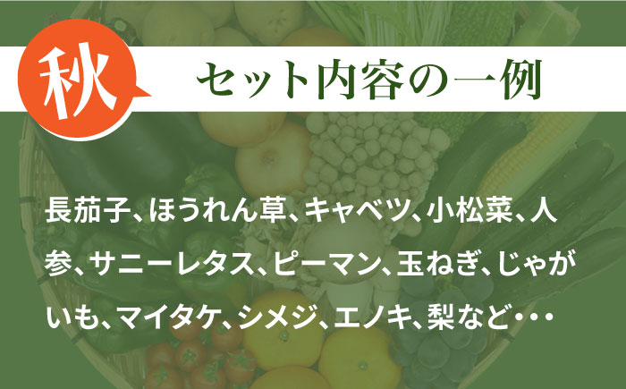 【6回定期便】野菜定期便 フルーツ・きのこをセット 15品目以上 「6回（毎月）」 / 定期便 野菜 やさい 春野菜 夏野菜 秋野菜 冬野菜 旬 / 南島原市 / 吉岡青果 [SCZ002]