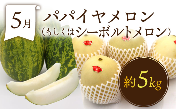 フルーツ定期便【6回定期便 奇数月コース】フルーツ定期便 旬のフルーツをセット/ いちご メロン ハウスみかん 梨 柿 など  / 定期便 旬 フルーツ 果物 春フルーツ 夏フルーツ 秋フルーツ 冬フルーツ 果物定期便 フルーツ定期便 果物定期 フルーツ定期 人気 人気果物 人気フルーツ / 南島原市 / 贅沢宝庫 [SDZ021]