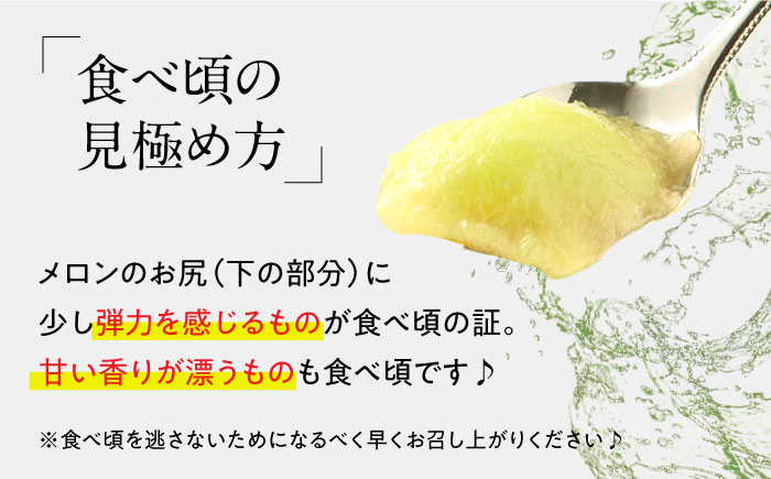 【2025年4月〜発送】【贅沢食べ比べ！2回定期便】プリンスメロン・タカミメロン（2品種各1回） / メロン セット 南島原市 / 南島原果物屋 [SCV001]