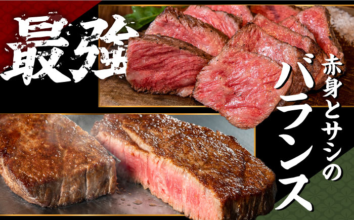 【6回定期便】ヒレステーキ 200g 長崎和牛 希少部位 / ヒレ ひれ フィレ ふぃれ 牛肉 赤身 A4 A5 / 南島原市 / KRAZY MEAT [SHF017]