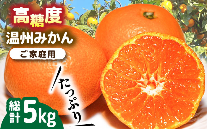 【2024年11月下旬〜発送】【高糖度】 温州みかん 約5kg / みかん ミカン 蜜柑 長崎県産みかん 糖度 果物 くだもの フルーツ ふるーつ 旬 家庭用 5kg / 南島原市 / 南島原果物屋 [SCV011]