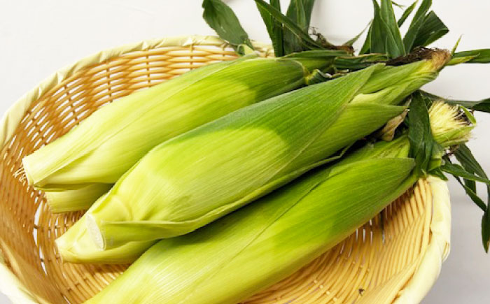 【2026年6月～発送】【最高糖度20度以上！】とうもろこし 2Lサイズ 10本 / ゴールドラッシュネオ トウモロコシ コーン スイートコーン / 南島原市 / 三和サービス株式会社 [SGB008]