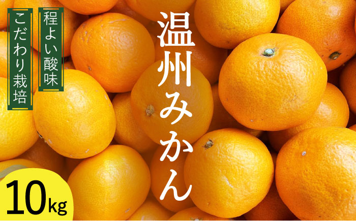 【2025年12月中旬〜発送】温州みかん 10kg（2S〜2L込）  / みかん 南島原市 / 日野江 [SCY002]