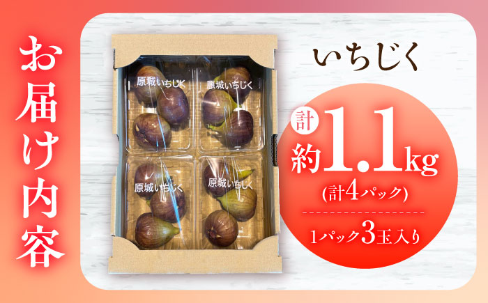 【ジューシーな果肉！スッキリとした甘さ！】いちじく 1パック3玉×4パック 約1.1kg / ドーフィン イチジク いちじく 無花果 果物 フルーツ / 南島原市 / 本多農園 [SGD001]