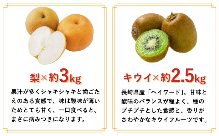【年6回 旬のフルーツ定期便】旬の果物をお任せで6回お届け / みかん ぶどう びわ すいか 梨 いちご メロン キウイなど / フルーツ 定期便 ふるーつ定期便 フルーツ 詰め合わせ 果物定期便 春フルーツ 夏フルーツ 秋フルーツ 冬フルーツ / 南島原市 / 長崎県農産品流通合同会社 [SCB010]