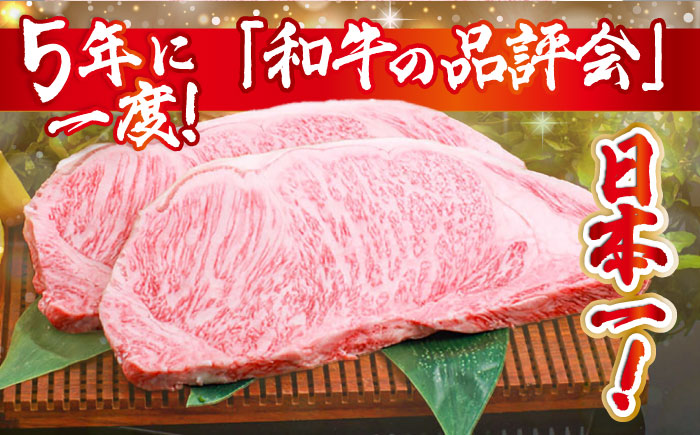 【内閣総理大臣賞受賞】長崎和牛 サーロインステーキ 約1kg / 冷凍 ステーキ肉 BBQ 焼肉 / 南島原市 / 島原雲仙農業協同組合 [SES002]