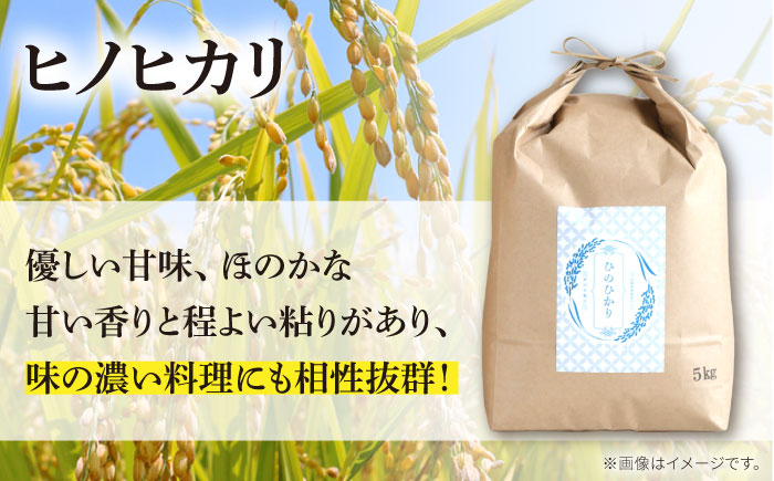 【南島原市産ヒノヒカリ】5kg×3回 定期便 / ひのひかり 米 お米 こめ コメ 精米 / 南島原市 / 林田米穀店 [SCO008]