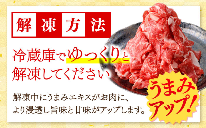国産 黒毛和牛 熟成肉 切り落とし 500g / 小分け 国産牛 お肉 牛肉 切落し 冷凍 焼肉 すき焼き / 南島原市 / ふるさと企画 [SBA094]