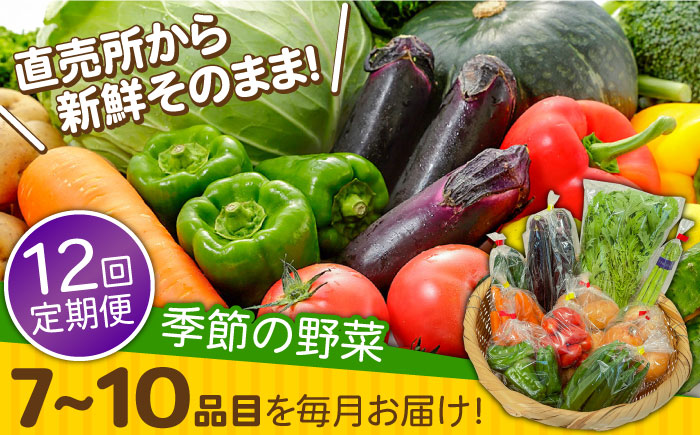 【12回定期便】直売所より発送！季節の野菜セット 7〜10品目 / 野菜定期便 やさい定期便 野菜 やさい 旬 詰め合わせ / 南島原市 / ながさき南部生産組合 [SBW005]