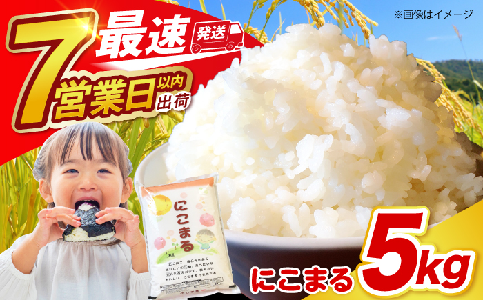 米 長崎県産 精米 にこまる 5kg 精米 白米 お米 ライス ごはん 米 こめ ご飯 国産 お取り寄せ  / 南島原市 / 大松屋商店 [SDR001]